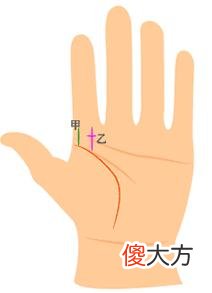女人生命线图解