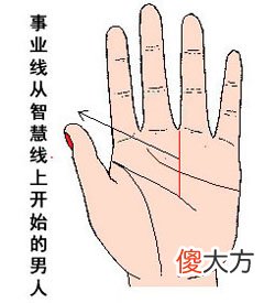 男人事业线图解