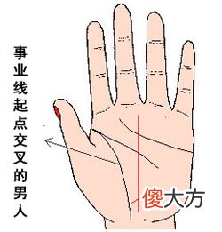 男人事业线图解