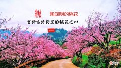 陶渊明的桃花源 陶渊明的桃花源记