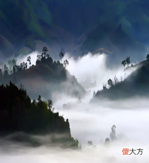 最终回归梦想中的桃花源 回到桃花源