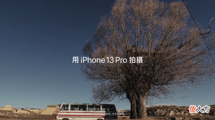 苹果今年的贺岁档 苹果贺岁片有哪些