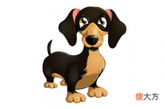 属狗的几点出生好时辰