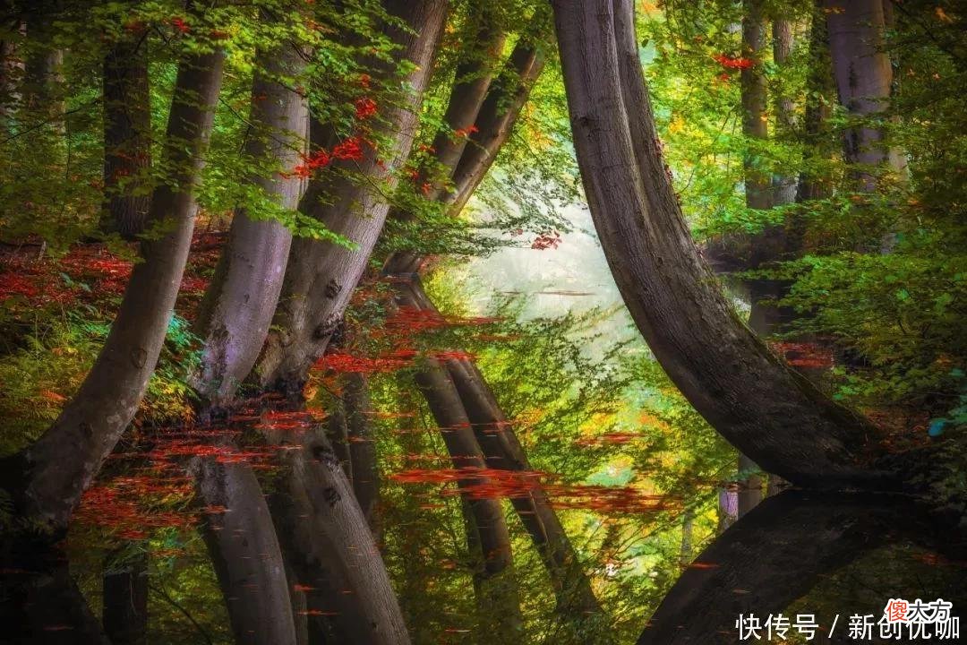 【十二星座】人生中，挑战和磨难最多的三个生肖，但有勇有谋，总蜕变成王者