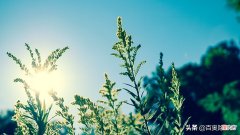 炎热的夏天使用除湿机合适吗 夏天用除湿机会热吗
