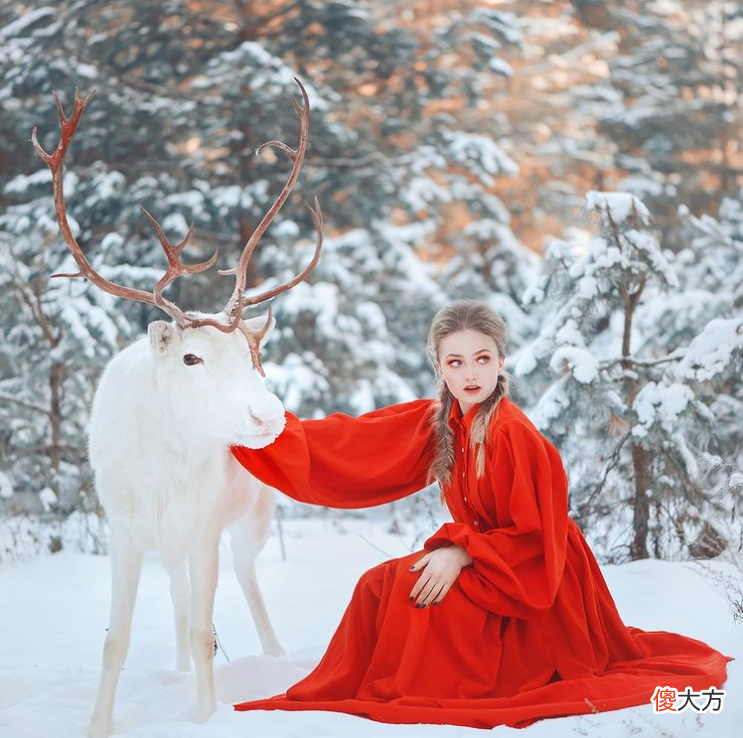 现实版美女与野兽 现实版的美女与野兽
