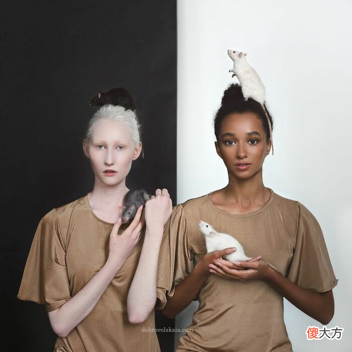 现实版美女与野兽 现实版的美女与野兽