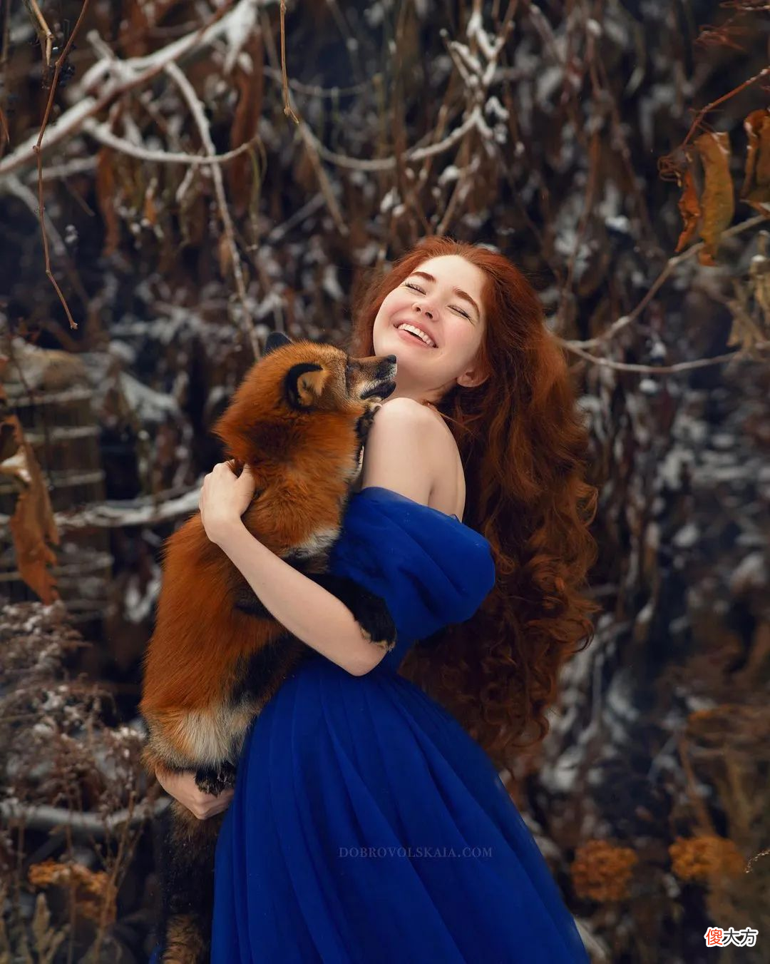 现实版美女与野兽 现实版的美女与野兽
