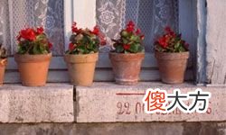 老外们的十大受欢迎的情人节礼物 外国人情人节送什么