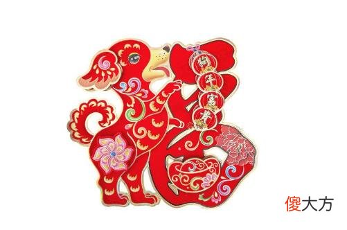 属狗哪天出生最好命