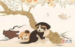 属狗犯太岁的年份