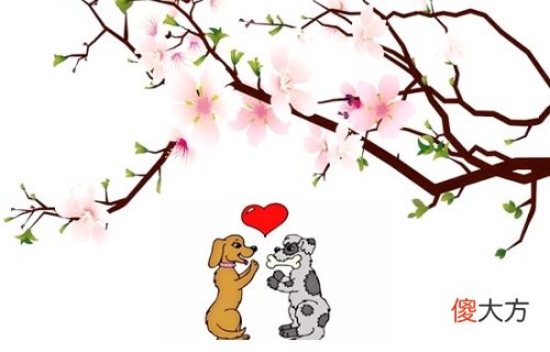 女属狗的属相婚配表大全