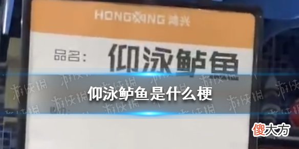 梗百科| 仰泳鲈鱼是什么梗 仰泳鲈鱼是真的吗
