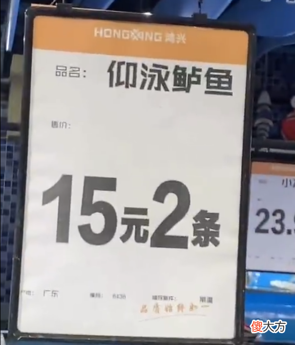 梗百科| 仰泳鲈鱼是什么梗 仰泳鲈鱼是真的吗