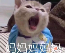 孩子叫你“妈妈”还是“妈”？一字之差，评论区的妈妈们都扎心了