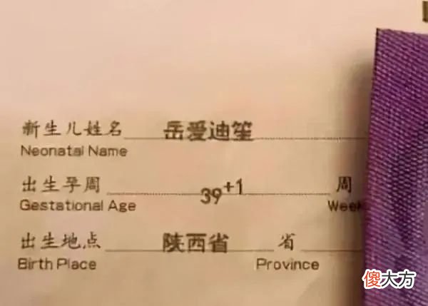 网友晒出超好听宝宝姓名 好听的宝宝姓名