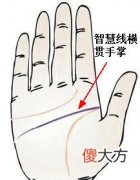 智慧线横穿手掌