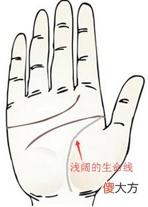 生命线浅淡