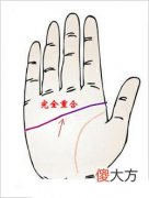 感情线和智慧线相连