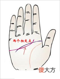 感情线和智慧线相连
