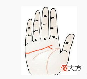 感情线和智慧线相连