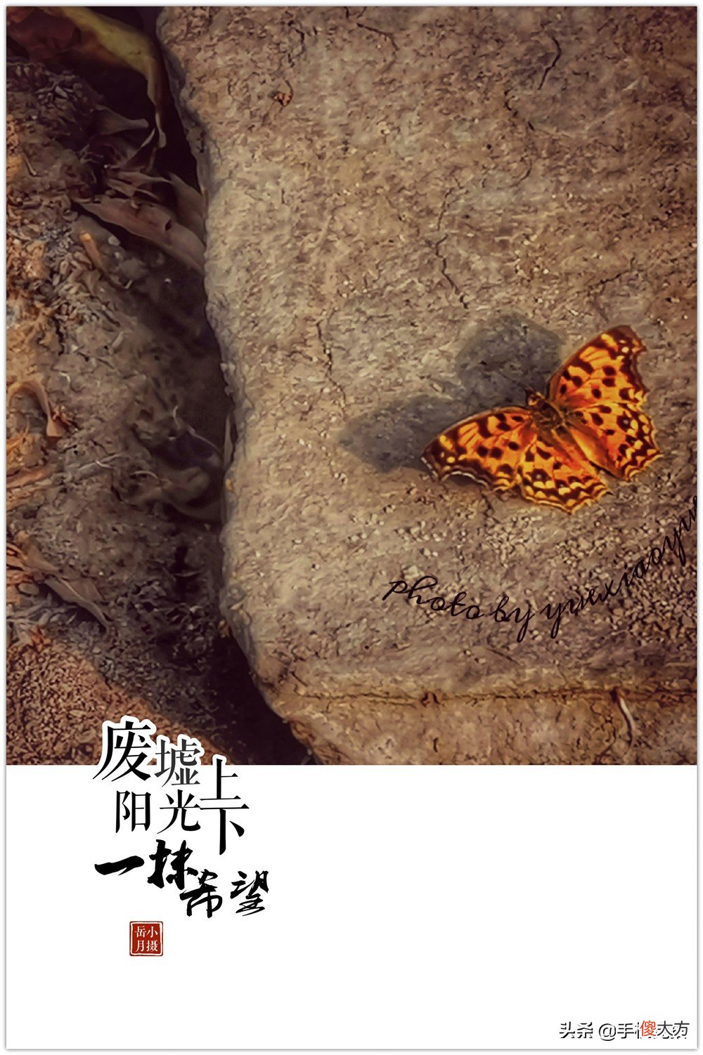 如何给照片加个漂亮的水印 怎样给自己照片加水印