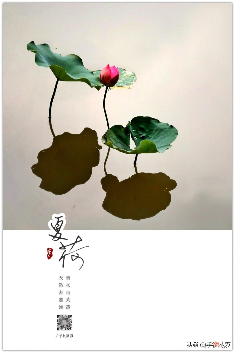 如何给照片加个漂亮的水印 怎样给自己照片加水印