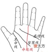 命运线的末端到指缝