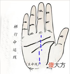 命运线分叉