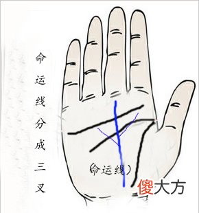 命运线分叉