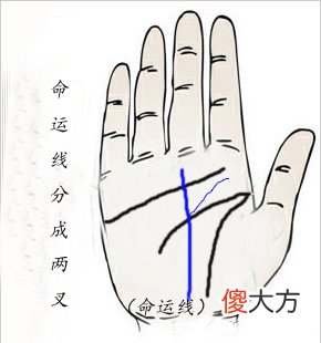 命运线分叉