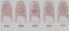 指纹算命七-斗、斗、簸箕、簸箕、斗