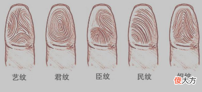 指纹算命七-斗、斗、簸箕、簸箕、斗