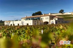 葡金葡萄酒加盟 葡萄酒连锁加盟店