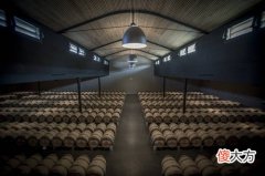 长相思干白葡萄酒兑什么饮料好喝 奥卡珍藏长相思干白葡萄酒