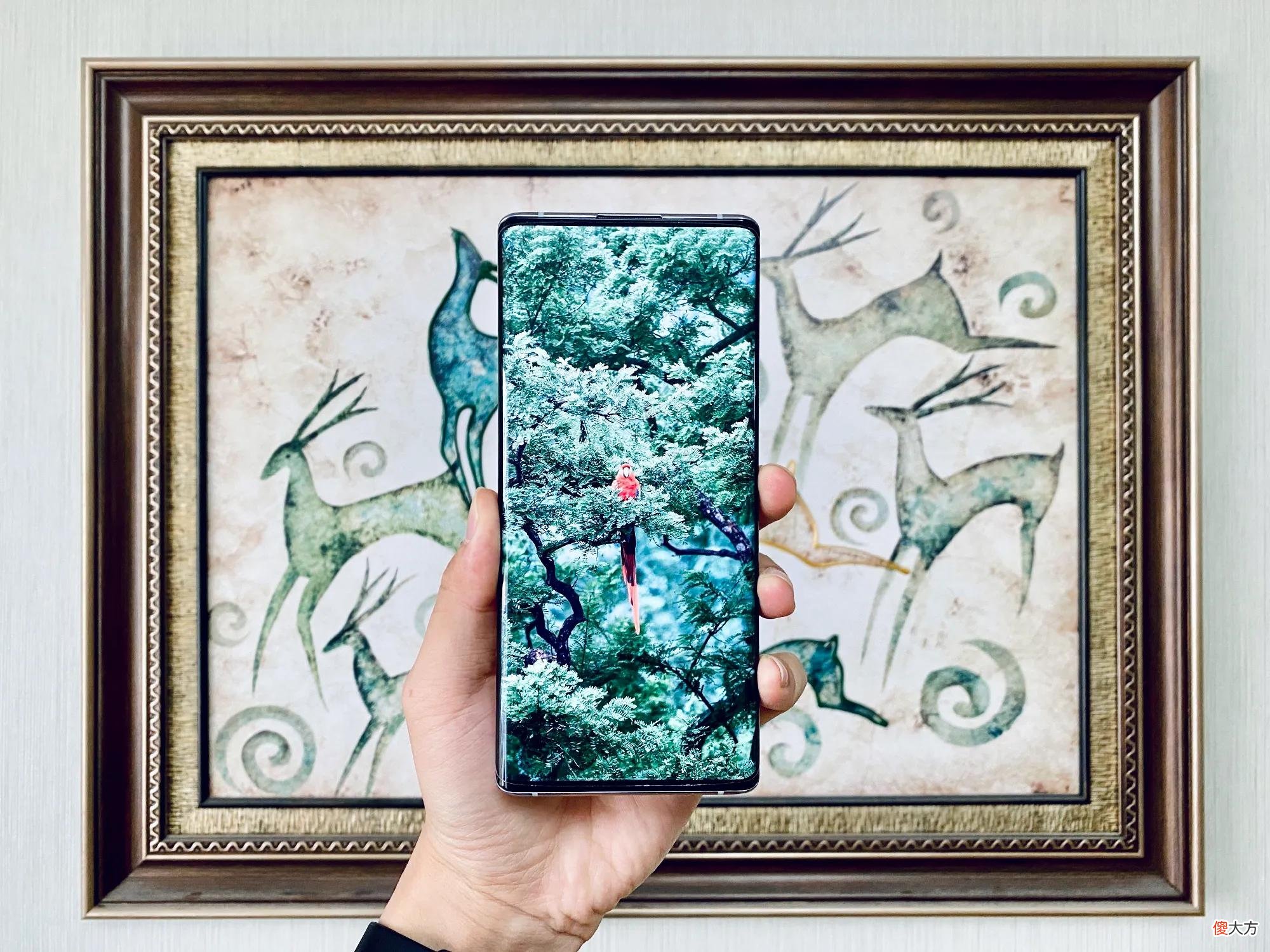 安卓手机不服都不行 安卓手机不跟手