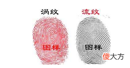 指纹算命十三-斗、簸箕、簸箕、斗、斗