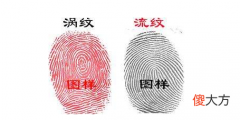指纹算命二十七-簸箕、簸箕、斗、簸箕、斗