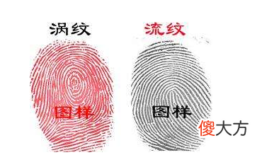指纹算命二十二-簸箕、斗、簸箕、斗、簸箕