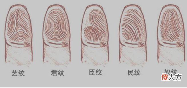 指纹算命二十四-簸箕、斗、簸箕、簸箕、簸箕