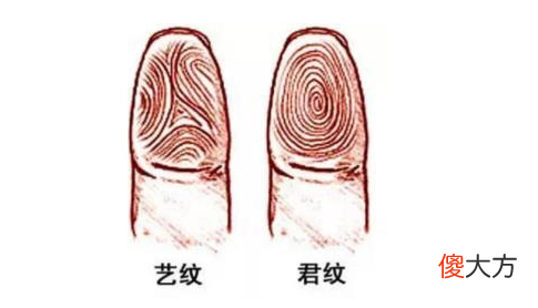 指纹算命三十-簸箕、簸箕、簸箕、斗、簸箕