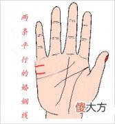 两条平行的婚姻线