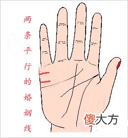 两条平行的婚姻线