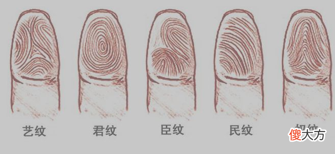指纹算命一-斗、斗、斗、斗、斗