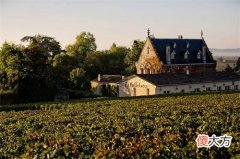 红酒加盟生意好做吗 红酒加盟品牌前十名