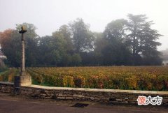 红酒进出口贸易怎么样 进口红酒市场怎么样?可以做吗?!