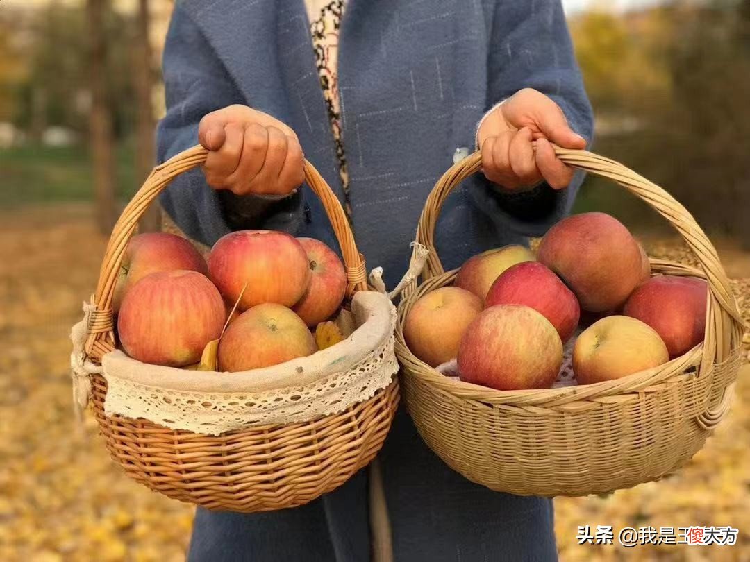 苹果换种吃法 苹果多种吃法