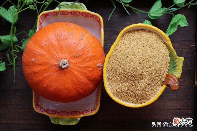 南瓜和小米是绝配 玉米和南瓜