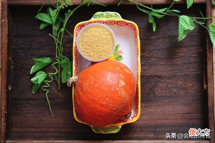 南瓜和小米是绝配 玉米和南瓜
