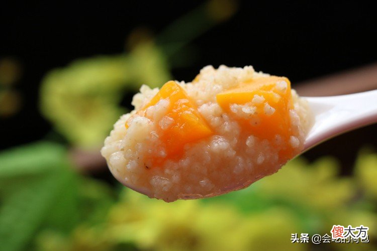 南瓜和小米是绝配 玉米和南瓜